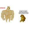 Wetaca el Xokas