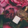 Campañas perfumes.