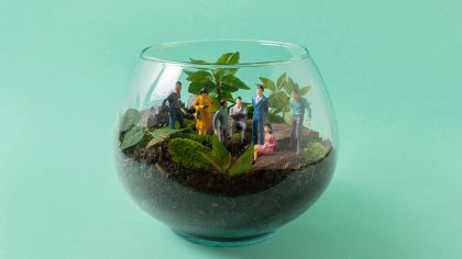 plantas en recipientes de cristal