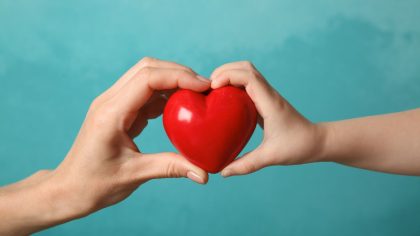 Donación Carretilla DANA