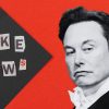 Elon Musk Fake News