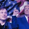 Elon Musk Gobierno Trump