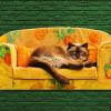 gato tumbado en un sofá