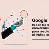 Google SGE.