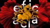 Premios Eficacia