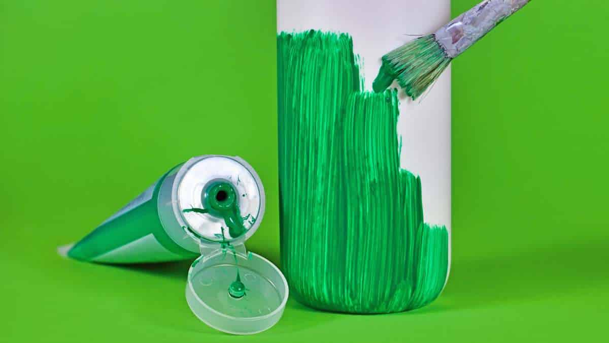 Green Friday vs. Black Friday: cuando el consumo se alinea con los valores