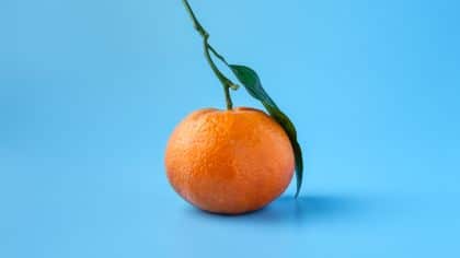 naranja sobre fondo azul