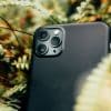 iPhone en la naturaleza