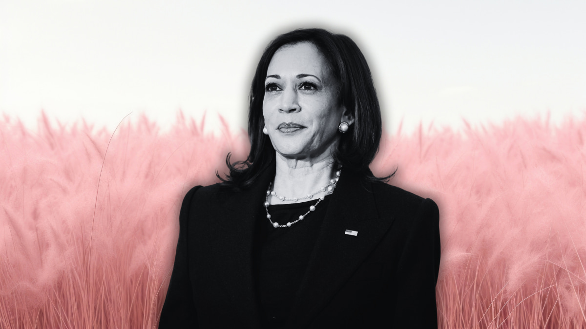 ¿Pueden Kamala Harris y su marca hacer morder el polvo a Donald Trump?