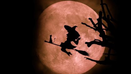 Campañas Halloween