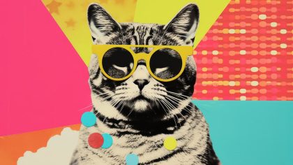 reputación de marca precio gato con gafas de sol
