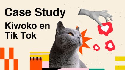 SIDN Digital Thinking. Kiwoko en TikTok: Case Study