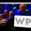 wapp resultados